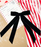 000 ($20) Bend & Snap - Long Tail Velvet Bows