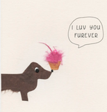 000 ($7) Flaunt Handmade Cards - Various