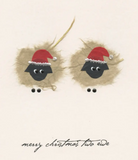 000 ($7) Flaunt Handmade Cards - Various