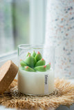 000 ($40) Zoetstudio - Succulent Soy Candle