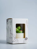 000 ($40) Zoetstudio - Succulent Soy Candle