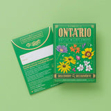 Seed Packet - Ontario Native Wildflowers (Discovery) - Foil
