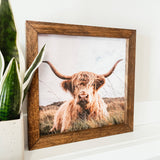 044 ($40) Highland Cow Framed Wooden Sign
