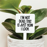 044 ($12.50) I'm Not Dead This Is Just How I Look Plant Marker