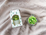 000 ($18) Zoetstudio - Succulent Tealight Candles