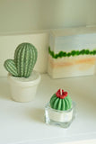 Barrel Cactus Tealight Candles
