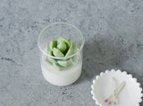 000 ($40) Zoetstudio - Succulent Soy Candle