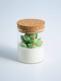 000 ($40) Zoetstudio - Succulent Soy Candle