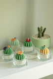 Barrel Cactus Tealight Candles