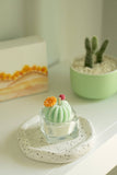 Barrel Cactus Tealight Candles