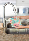 4 Pk Sponge Cloths - Abby Rose