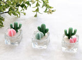 Cactus & Succulent Tealight Candles | Soy Wax Blend