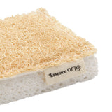 100% Compostable Kitchen Sponges, 2 pack