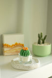 Barrel Cactus Tealight Candles