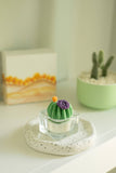 Barrel Cactus Tealight Candles