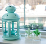 000 ($18) Zoetstudio - Cactus & Succulent Tealight Candles