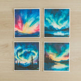 4 Pk Sponge Cloths - In the North