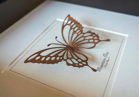 113 ($100) Framed Butterfly - Walnut