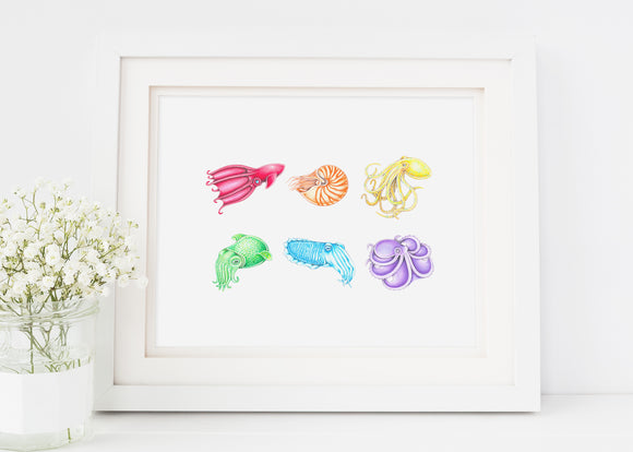 205 ($18) Print - Rainbow Cephalopod