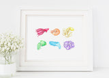 205 ($18) Print - Rainbow Cephalopod