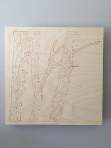 000 ($40) Birch Art 12x12