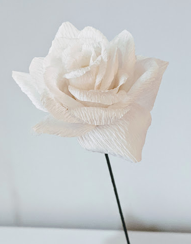 124 ($12) Single Stem Flower - White Paper Hybrid Tea Rose