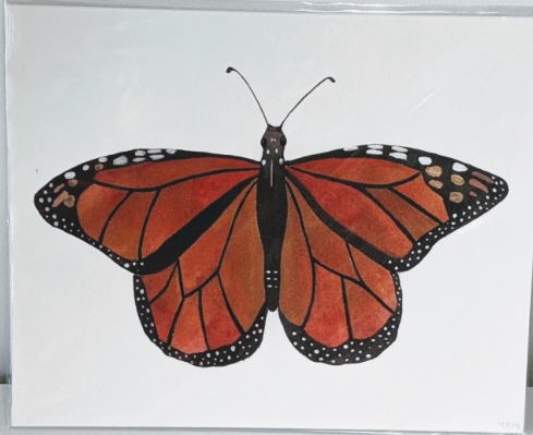 201 ($25) Print - Butterfly - Original
