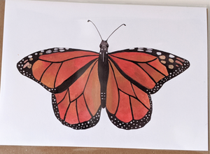 201 ($6) Card - Butterfly