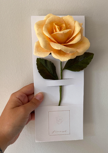 124 ($30) Crepe Flower - Cream Garden Rose with Foliage