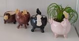 000 ($20) Small Animal Pots - Sitting and Standing