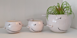 000 ($20) Small Animal Pots - Sitting and Standing