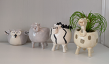 000 ($20) Small Animal Pots - Sitting and Standing