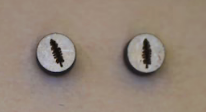 036 ($20) Earrings - Studs