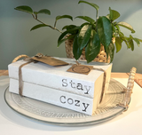 000 ($15) Earthlynn Creations - 2 Stack Books