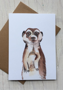 201 ($6) Card - Meerkat