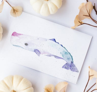 201 ($15) Print - Sperm Whale