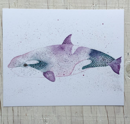 201 ($15) Print - Killer Whale