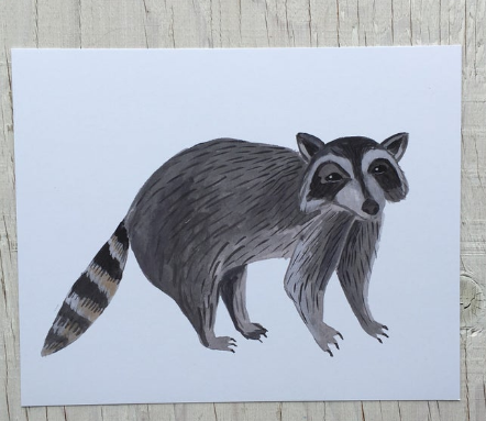 201 ($15) Print - Raccoon
