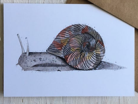 201 ($15) Print - Snail