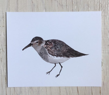 201 ($6) Card - Bird - Sandpiper