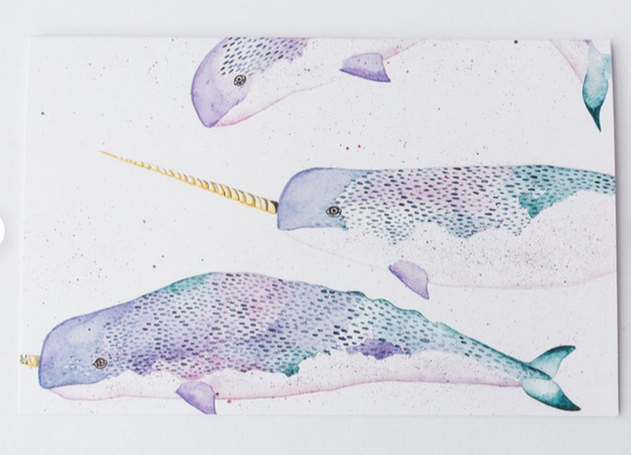 201 ($6) Card - Narwhals