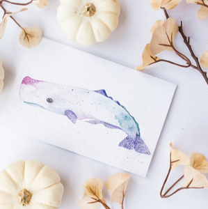 201 ($6) Card - Sperm Whale