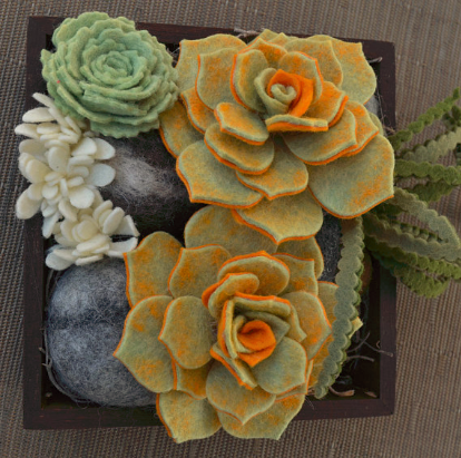 220 ($30) Succulent Tray