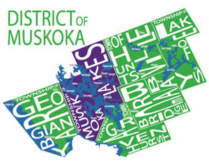 211 ($30) Map - Muskoka District - 11x14