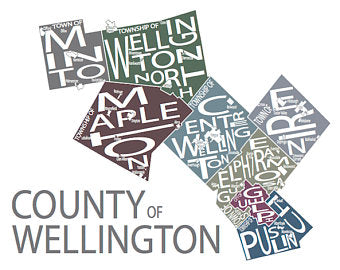 211 ($30) Map - Wellington County - 11x14