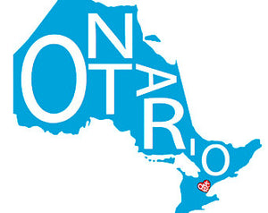 211 ($40) Map - Ontario - 12x16