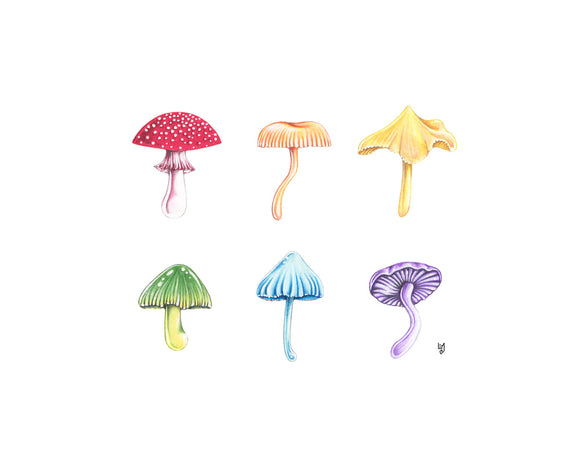 205 ($18) Print - Rainbow Mushrooms
